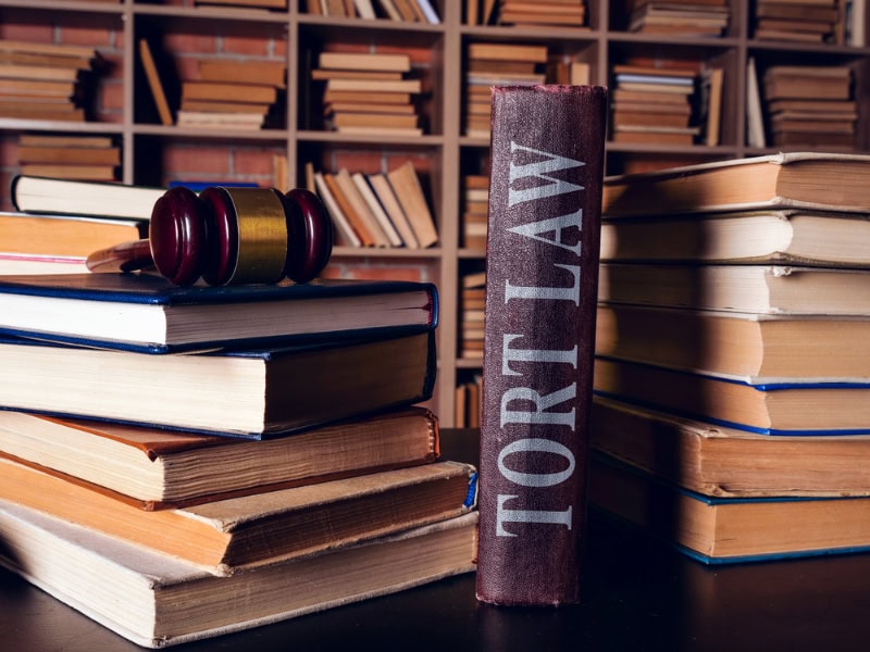 government tort claims